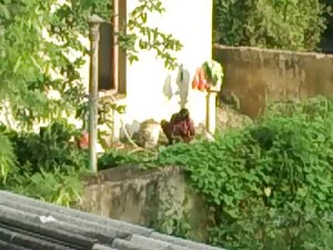 दो गर्म MILF चाट और  ...