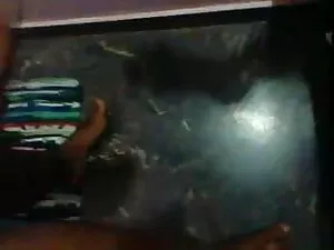 फारसी बड़े लाल चीर-फ ...