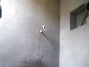 बीबीडब्ल्यू के लिए द ...