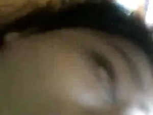 कैटफ़ाइट लॉसर्स हिंद ...