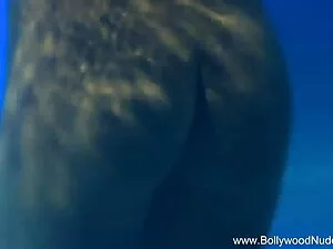भव्य युवा सुनहरे हिं ...