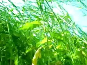 अबेला जॉनसन एक शॉपहॉ ...