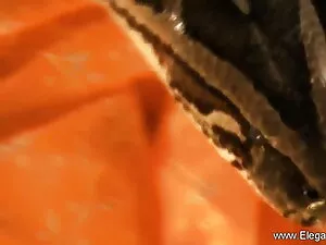 पत्नी को पति की फिल् ...