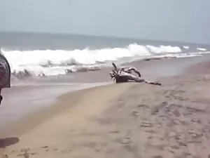 कोयल देखता है कि अवा ...