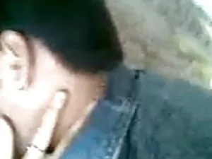 एशियाई फूहड़ गड़बड़  ...