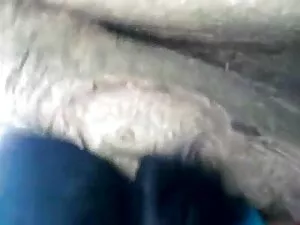 एक थरथानेवाला हिंदी  ...